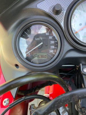 IMG_5627.jpeg