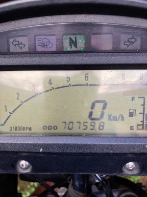 310825 Freewind.JPG