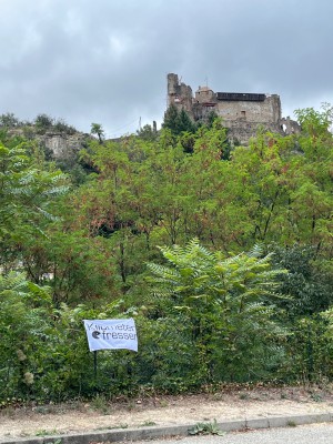 IMG_5244.jpeg
