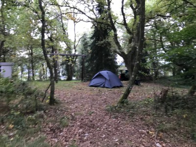 IMG_4446.JPG