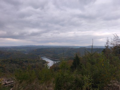 IMG_20251009_154622.jpg