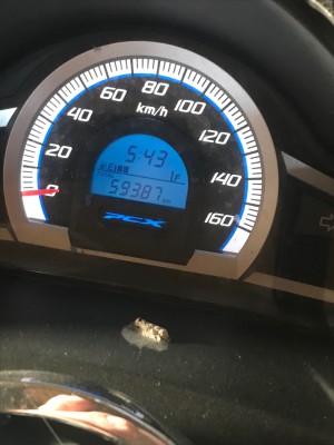 19F32073-210B-4C44-96E8-DA98F336F0F3.jpeg