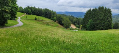 20260603 ET 02.jpg