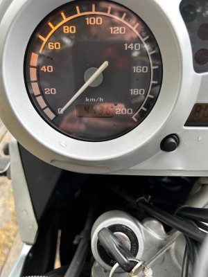 IMG_0208.jpeg