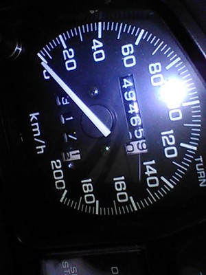 TA95.jpg