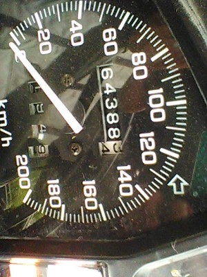 TA97.jpg