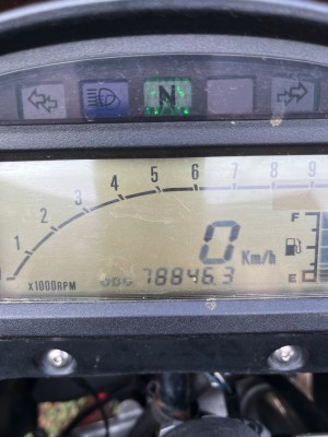 310726 Freewind.jpeg