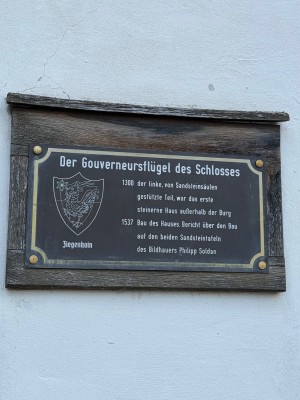 IMG_7395.jpeg