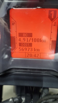 5319082006010337969.jpg