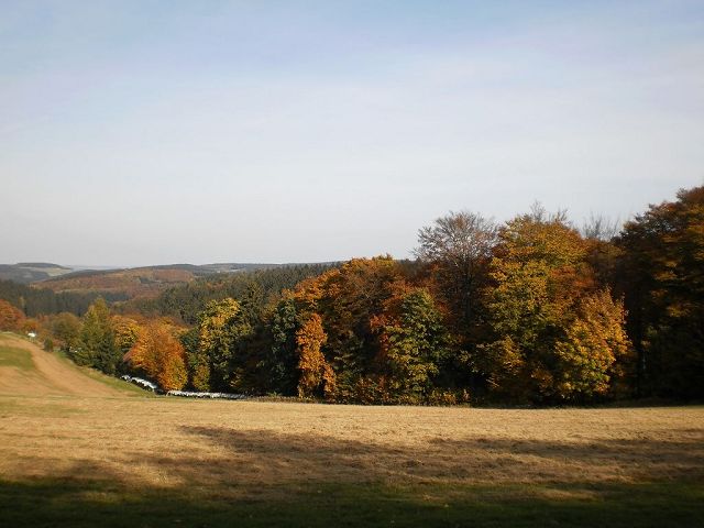 k-k-PA200007.JPG
