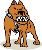 Pit Bull.jpg