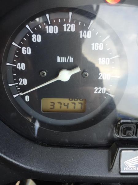 10957929_10205907446554718_803565721_n.jpg