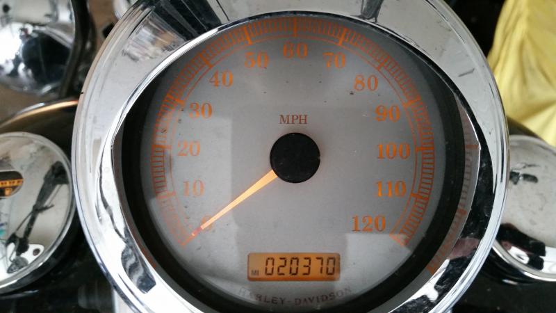 20150728_170151.jpg