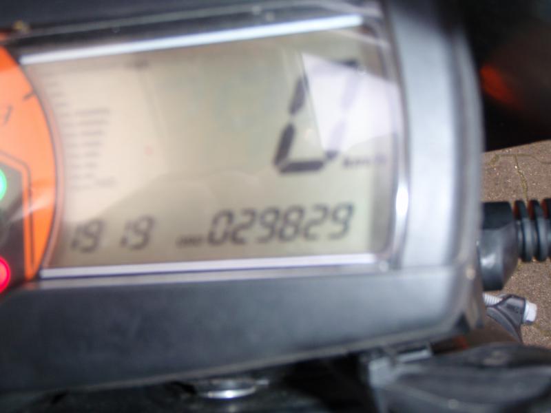 P7313544.JPG