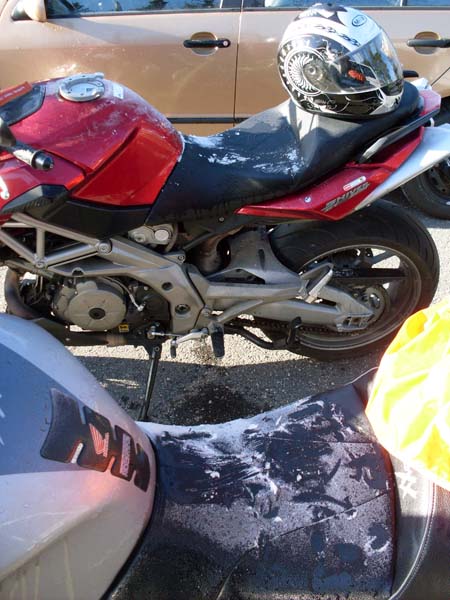 schon ganz schön kalt morgens