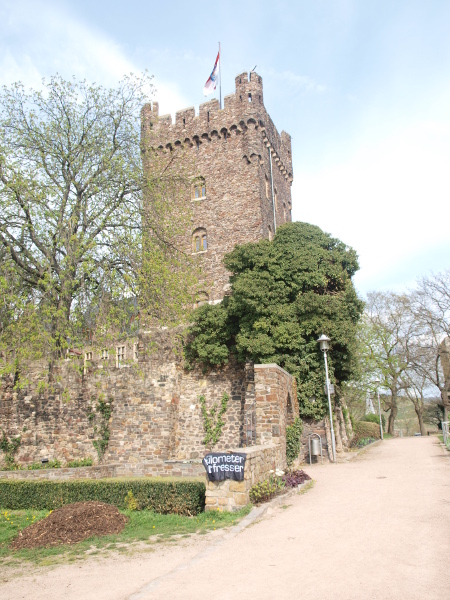 Burg Klopp Bingen.JPG