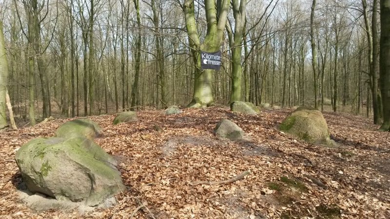 Oldendorfer Hünenstein2_20170331_143205_kl.jpg