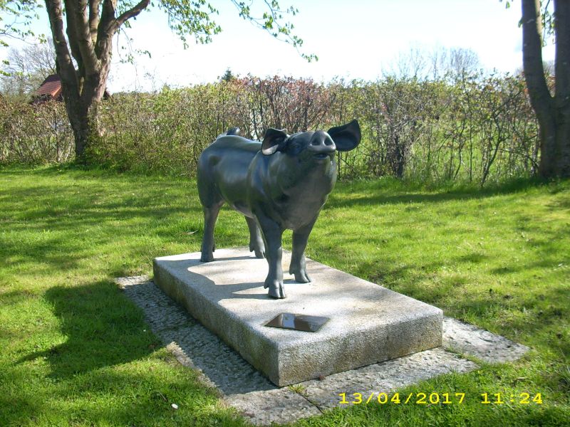 Schwein von Dedesdorf_2_kl.jpg