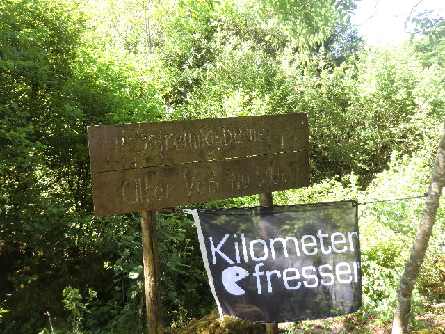 85.1 Befreiungsbuche in Berlingen.jpg